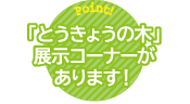 「とうきょうの木」展示コーナーがあります！