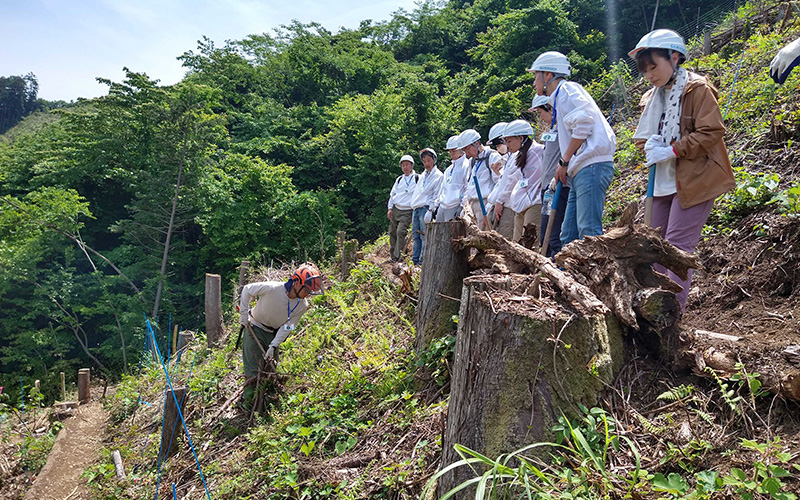 檜原村木材産業協同組合