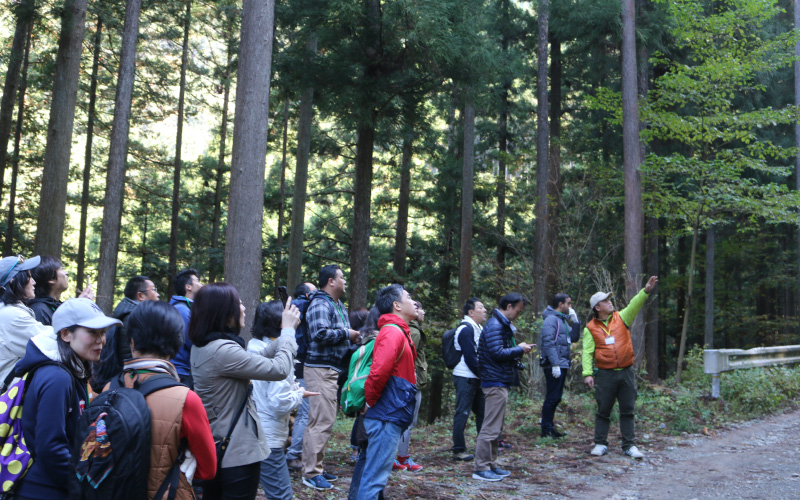 秋川木材協同組合